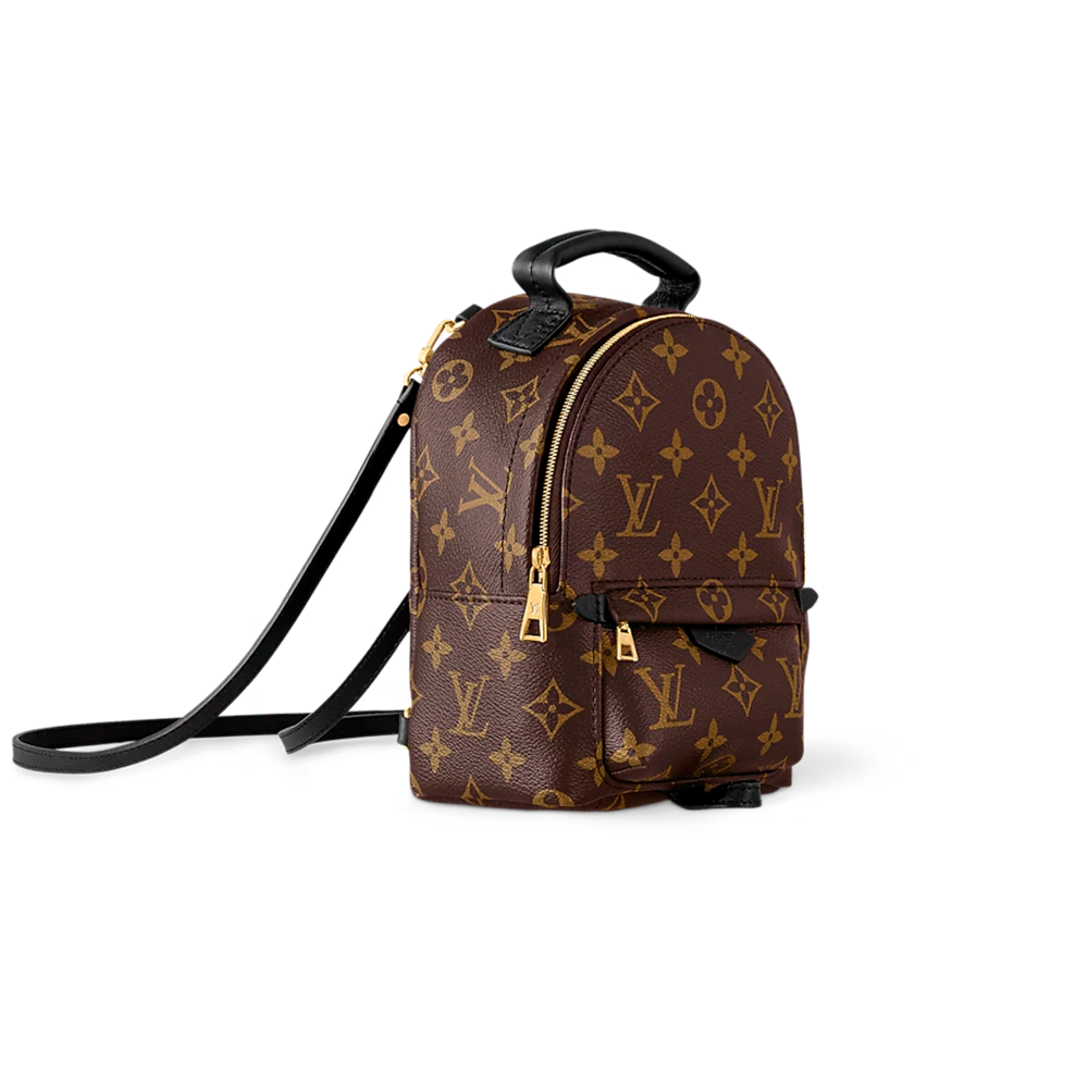 Louis Vuitton Palm Spring Mochila
