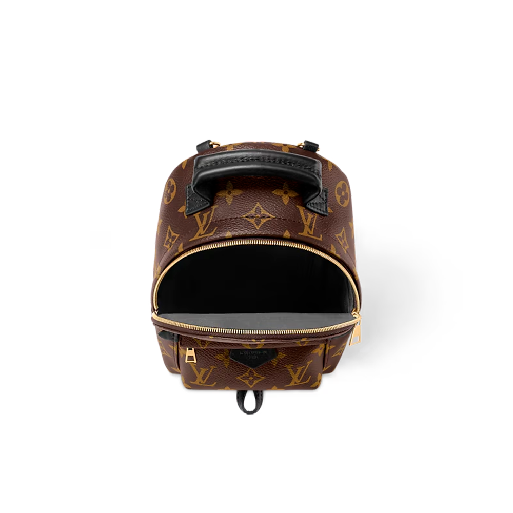Louis Vuitton Palm Spring Mochila